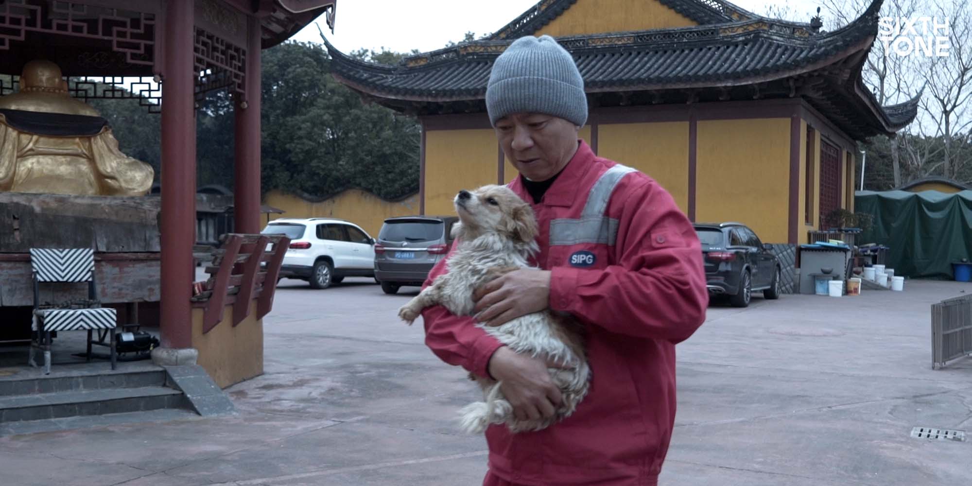 一个僧人，一座500年历史的寺庙，和9000只猫狗