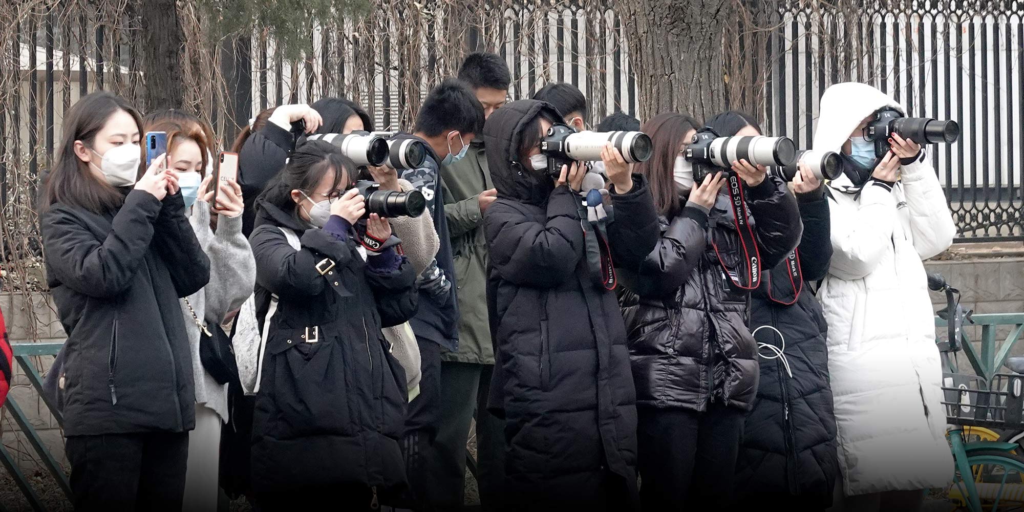 成绩下降、威胁、有毒文化：为什么粉丝退出她的偶像