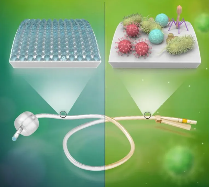 科学家创造了一种无需抗生素即可预防致命感染的方法