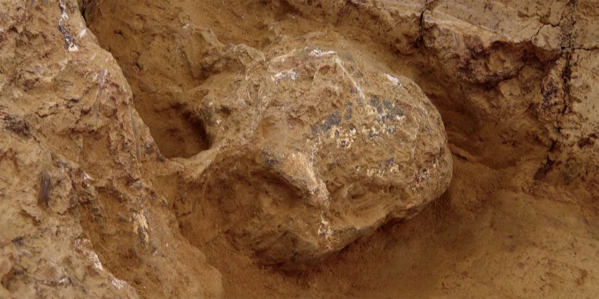 China Finds Million-Year-Old Human Skull, Remains of Ancient Cities