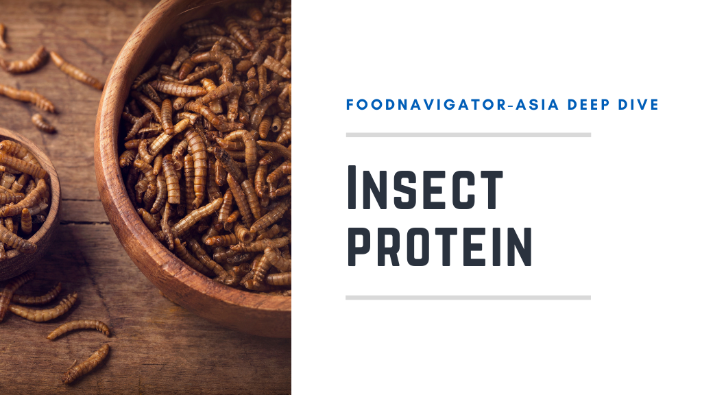 Crawling up the charts: APAC insect protein tech ahead of the curve, but market readiness still lagging