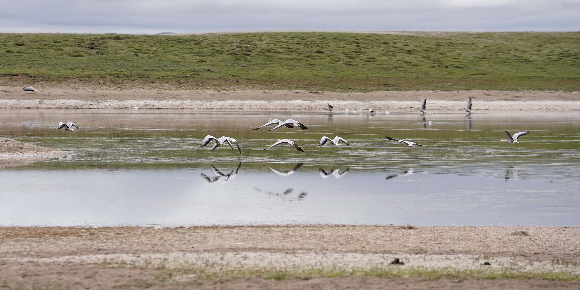 Conservation Success Prompts China to Build More National Parks