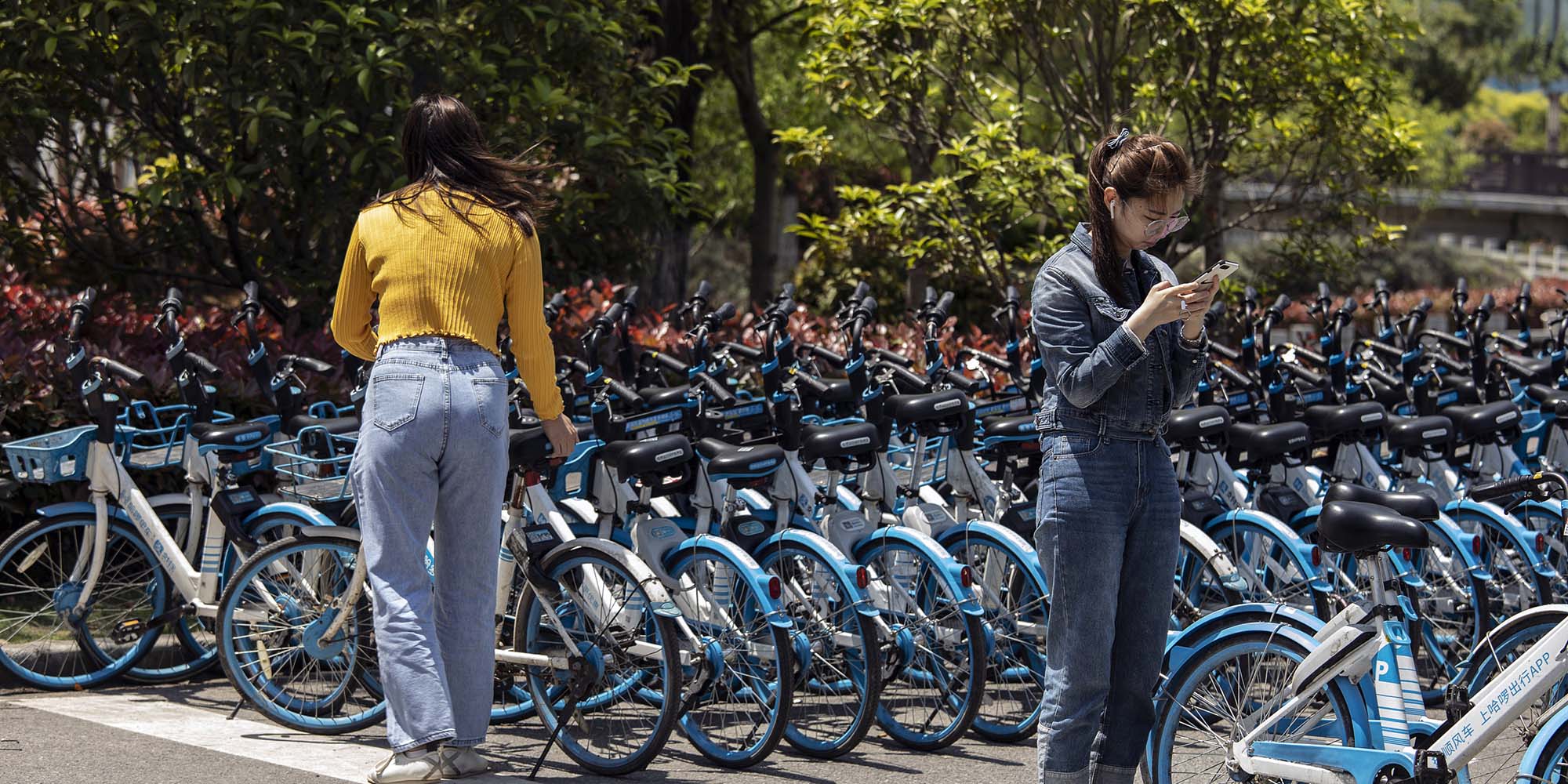 A Chinese Bike-Share App Is Now Doubling as a Matchmaker