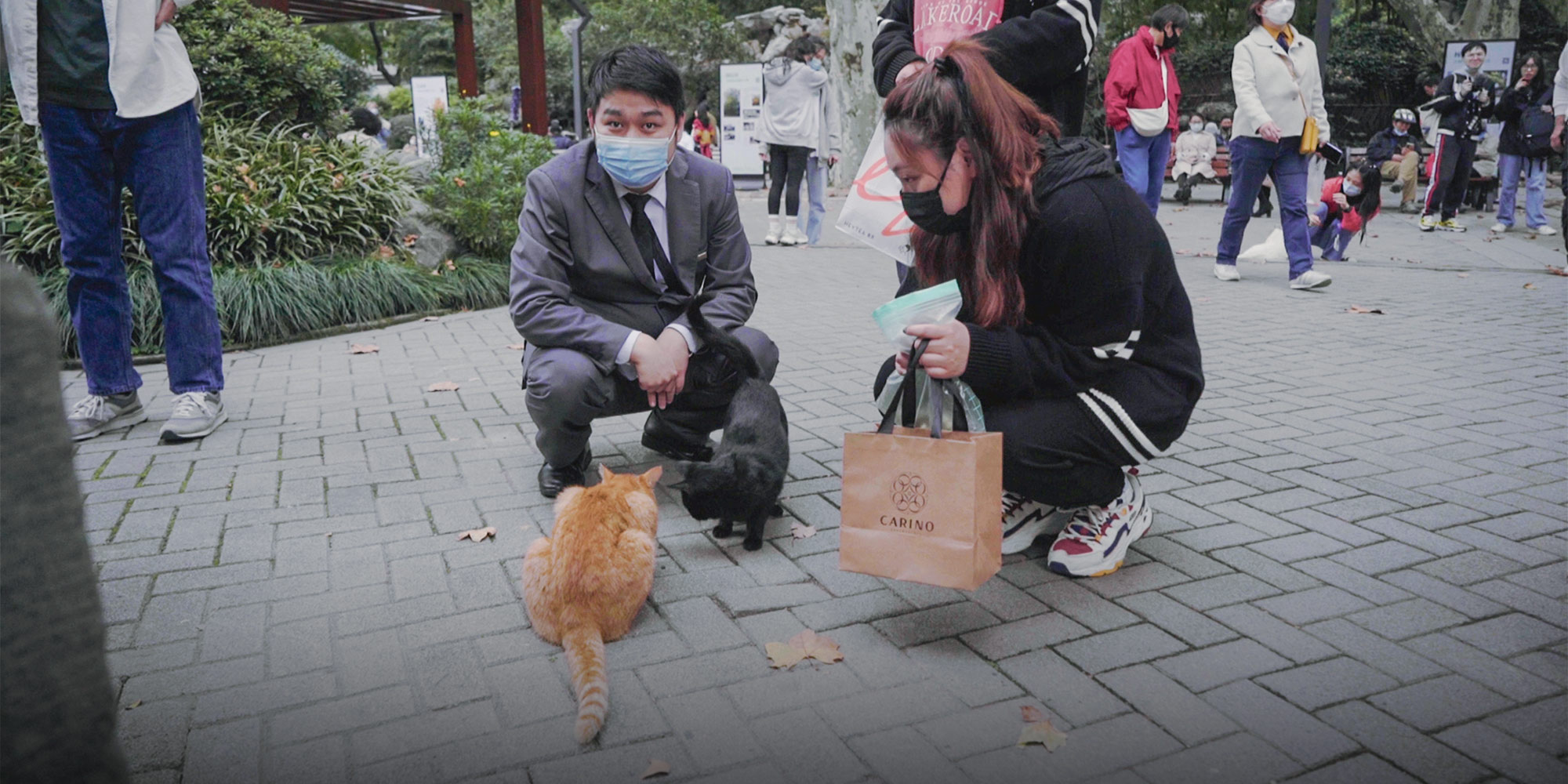 A Day in a Shanghai Park: Strays