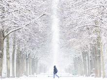 Es wird winterlich: Schnee und Glättegefahr in Berlin und Brandenburg