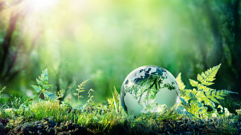 Sustainability Snippets: South Korea approves recycled PET, Nestle paper packaging, Singapore container return scheme and more feature in our round-up