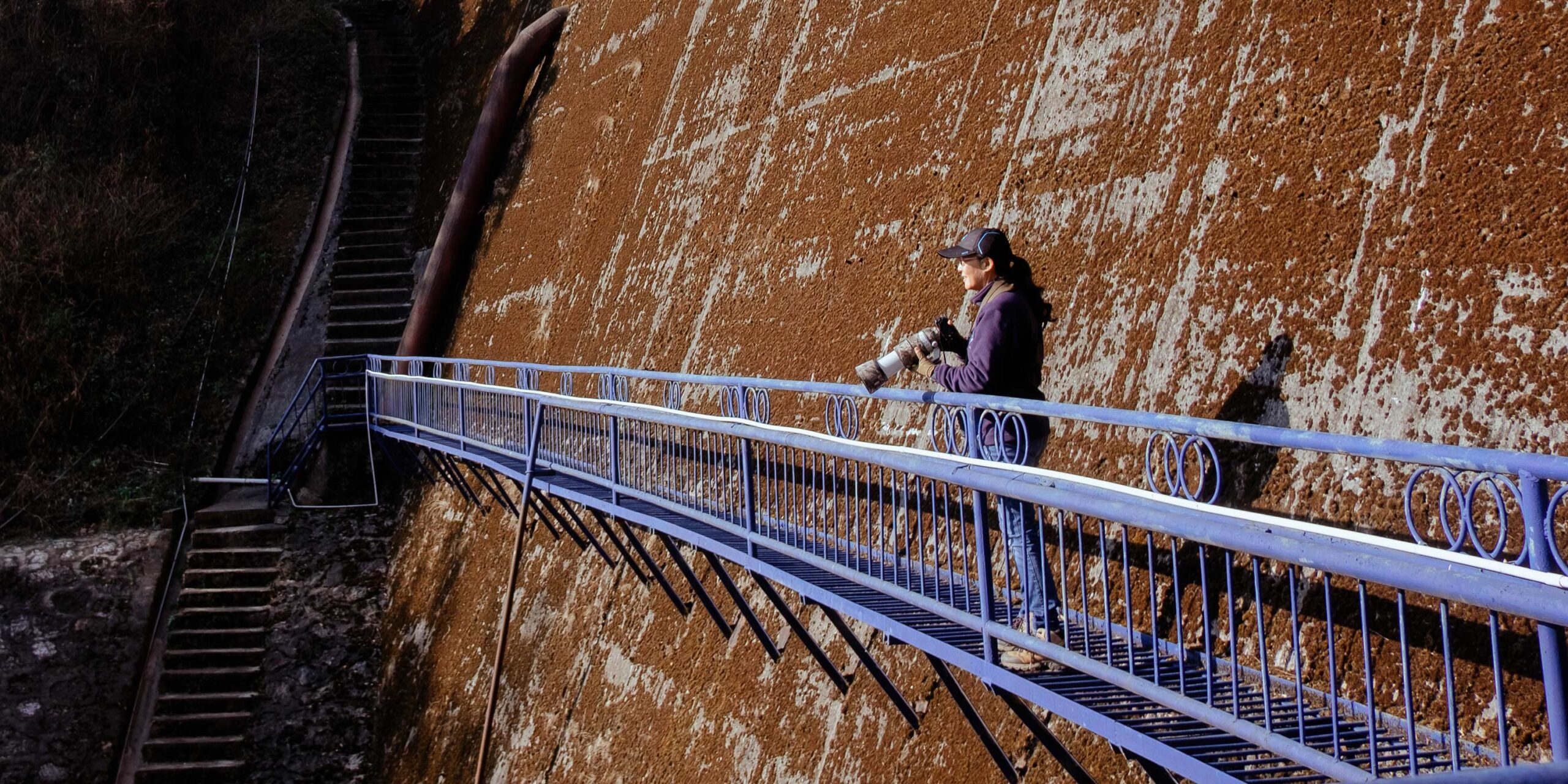 Beyond The Frame: How a Pioneer Set Her Sights on Yunnan’s Birds