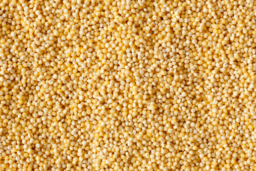 Millet measures: India sets new food safety standards for traditional cereal in anticipation of production boom