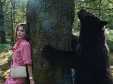 „Cocaine Bear“ im Kino: Gut gepudert in freier Wildbahn