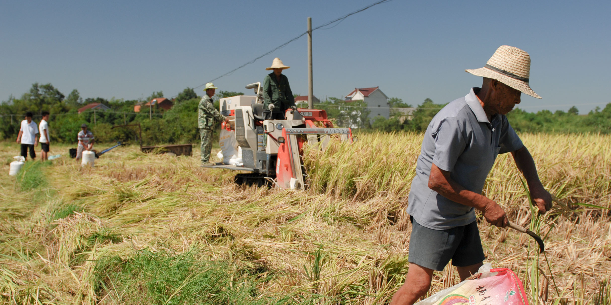 China’s Food Security Faces a Hidden Threat: An Aging Countryside