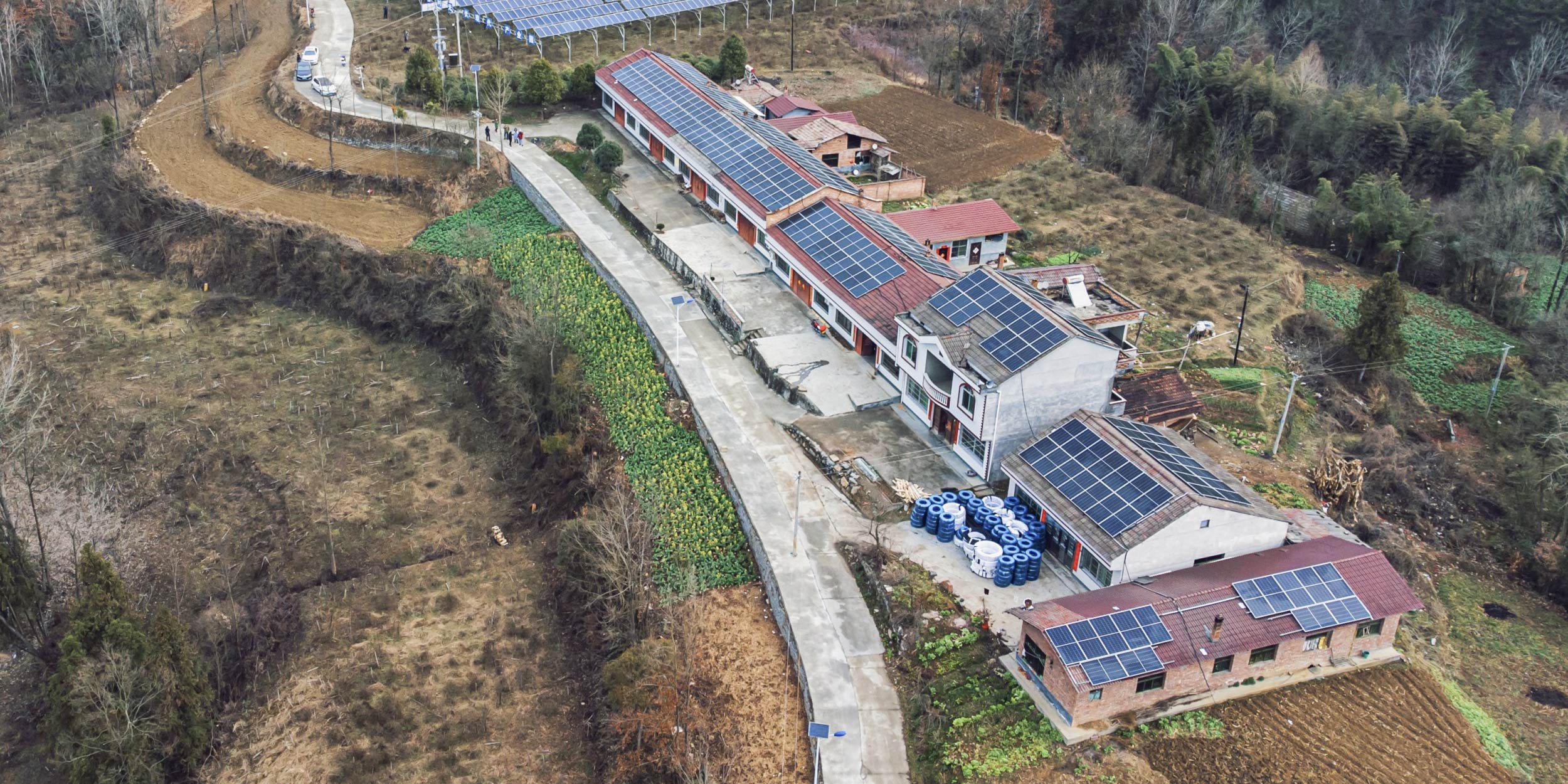 In the Race to ‘Net Zero,’ China Shouldn’t Overlook the Private Sector