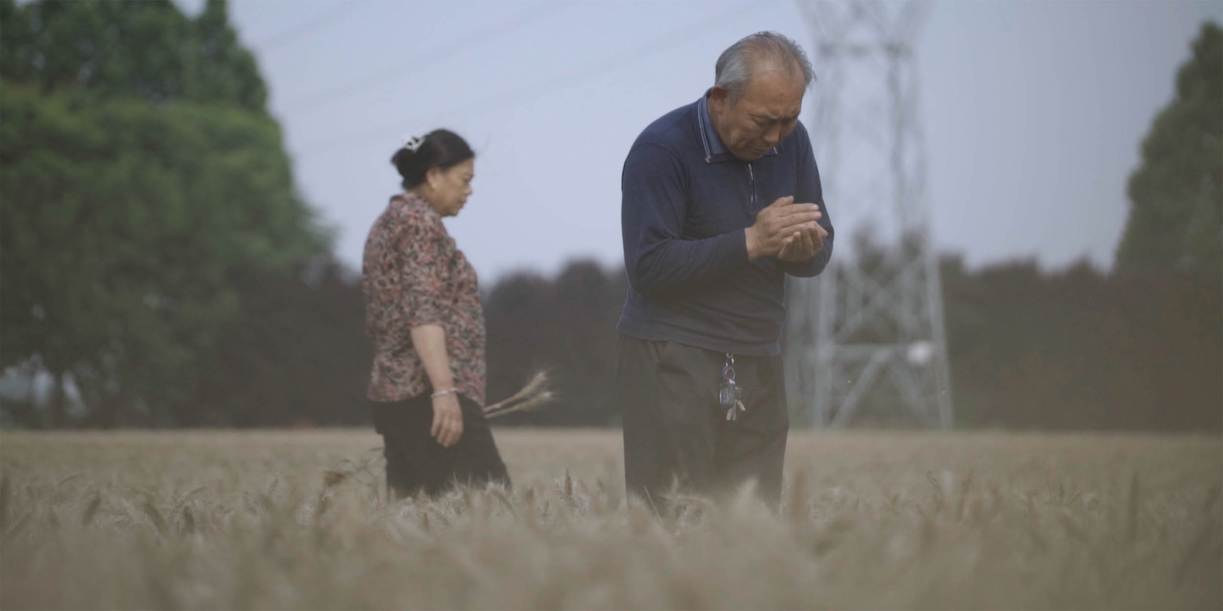 Between the Rains: Inside Henan’s Wheat Crisis