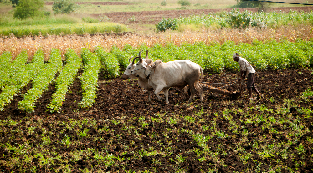 India’s agrifoodtech sector attracts $2.4b VC funding in 2022: report