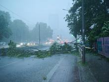 Feuerwehr verhängt „Ausnahmezustand“: Schweres Unwetter fegt über Berlin hinweg