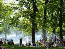 „Natural Born Grillers“: Warum das ständige Grillen in Berliner Parks nervt