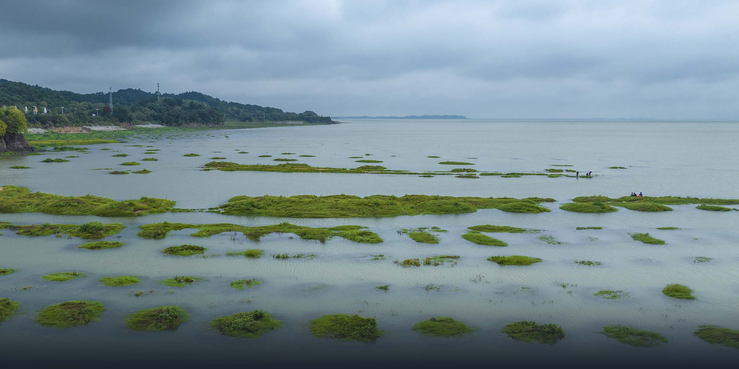 Rains Revive Poyang Lake, Offering Hope After Record Dry Season