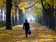 Milder Herbst in Berlin und Brandenburg: Woche startet mit etwas Sonne und ohne Regen