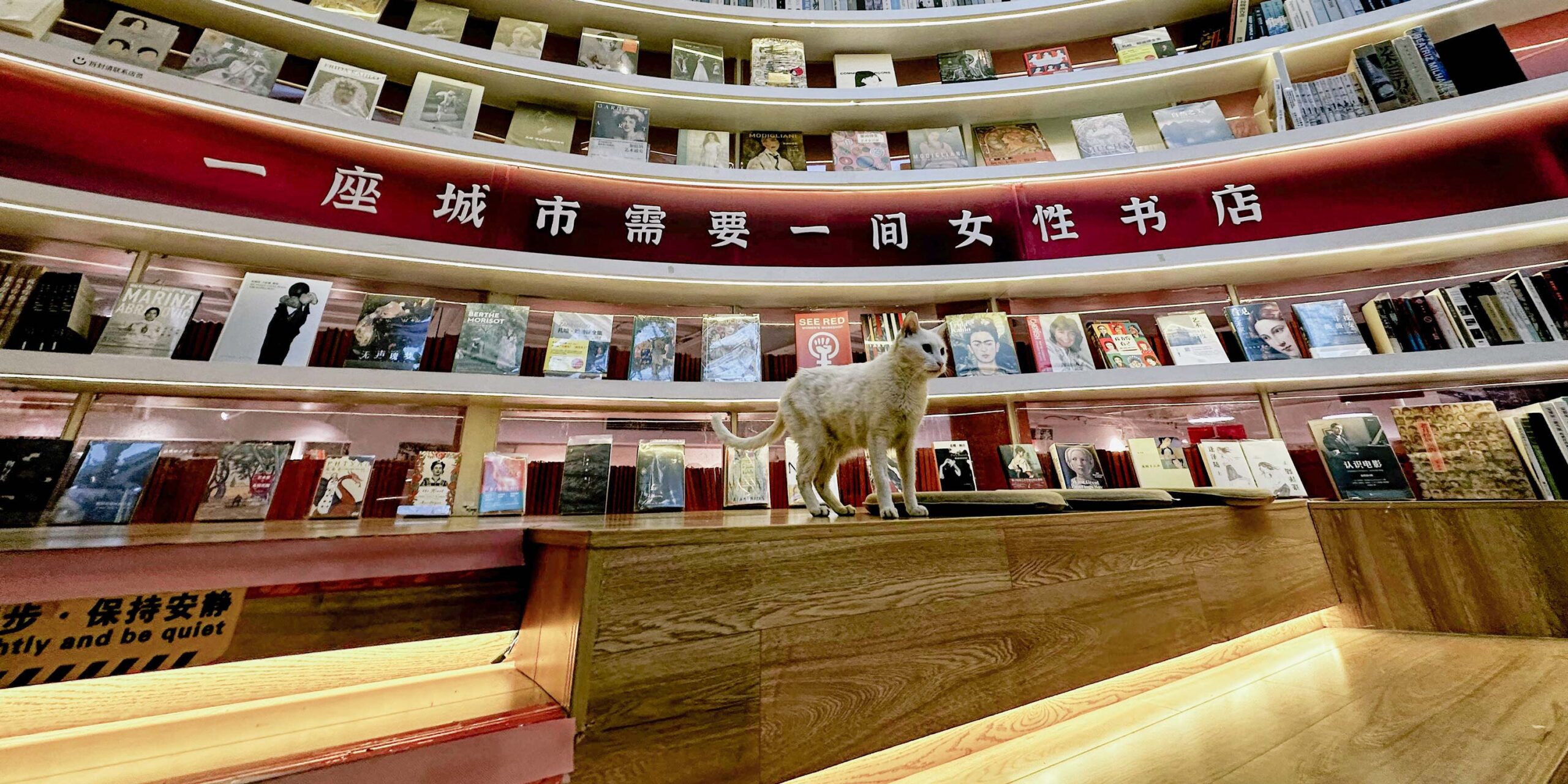 The Bookstore Giving Shanghai’s Women a Room of Their Own