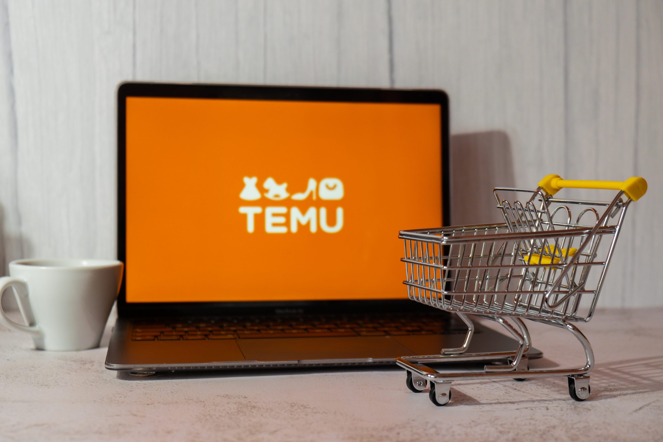 Temu takes legal action against scam sites to safeguard consumers