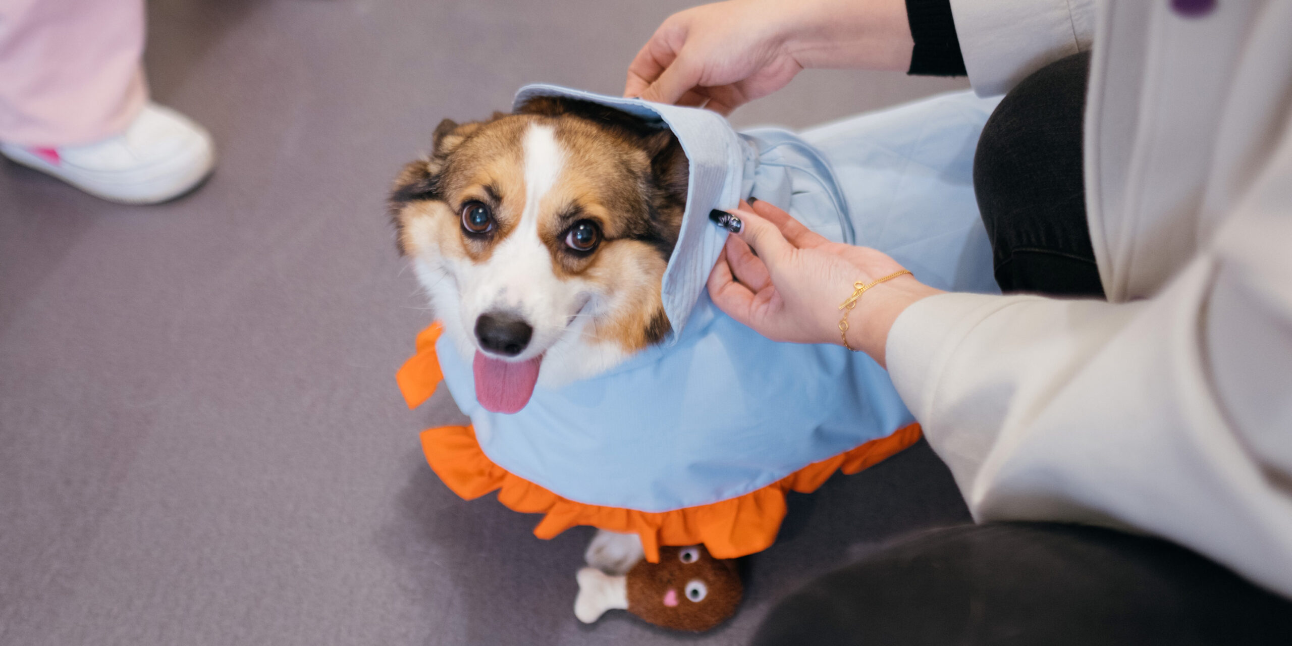 A Shanghai Startup’s Fashion Twist: Matching Outfits for Pets and Owners