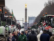 Die Macht der Bauern: Wie sich die Landwirtschaftslobby durchsetzt