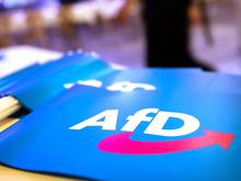 ARD-Deutschlandtrend: AfD rutscht um drei Prozentpunkte ab