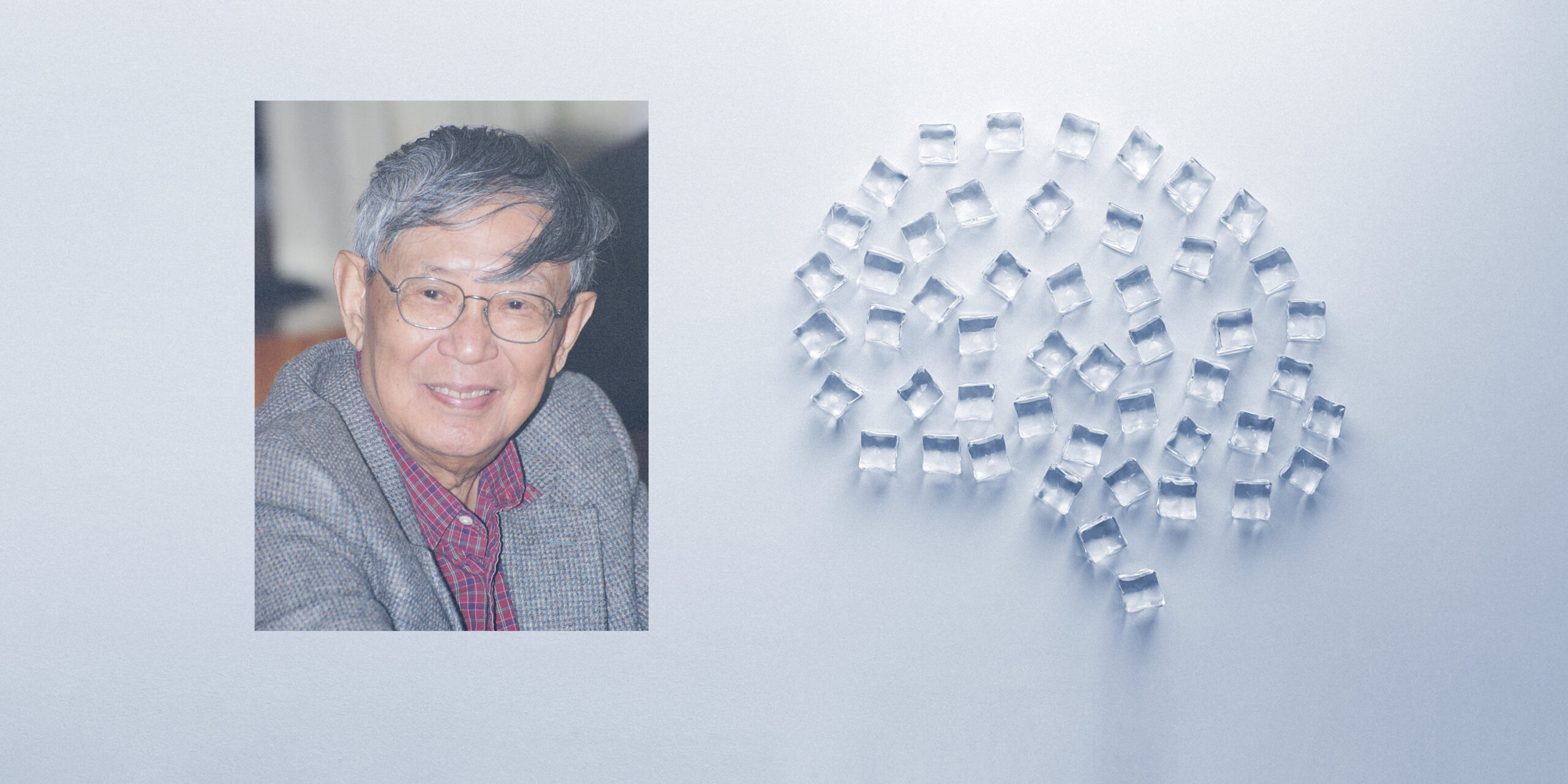 Leading Chinese Philosopher’s Brain Cryopreserved in the US