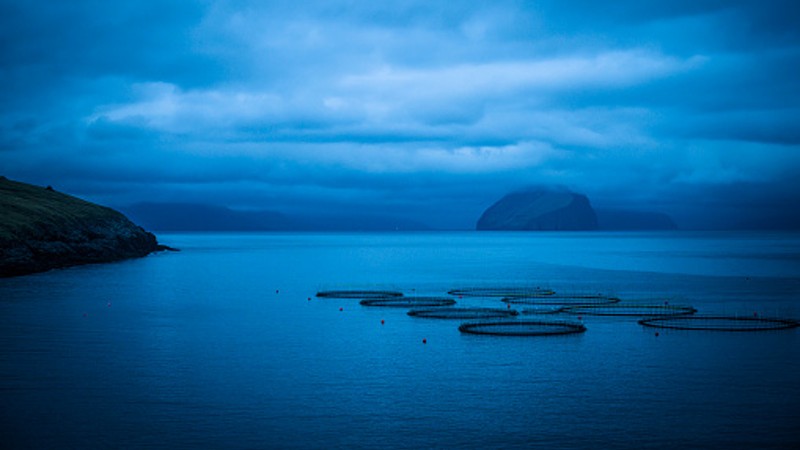 Blue economy hurdles: Automation and perception shift crucial to help Asia’s seafood sector move forward