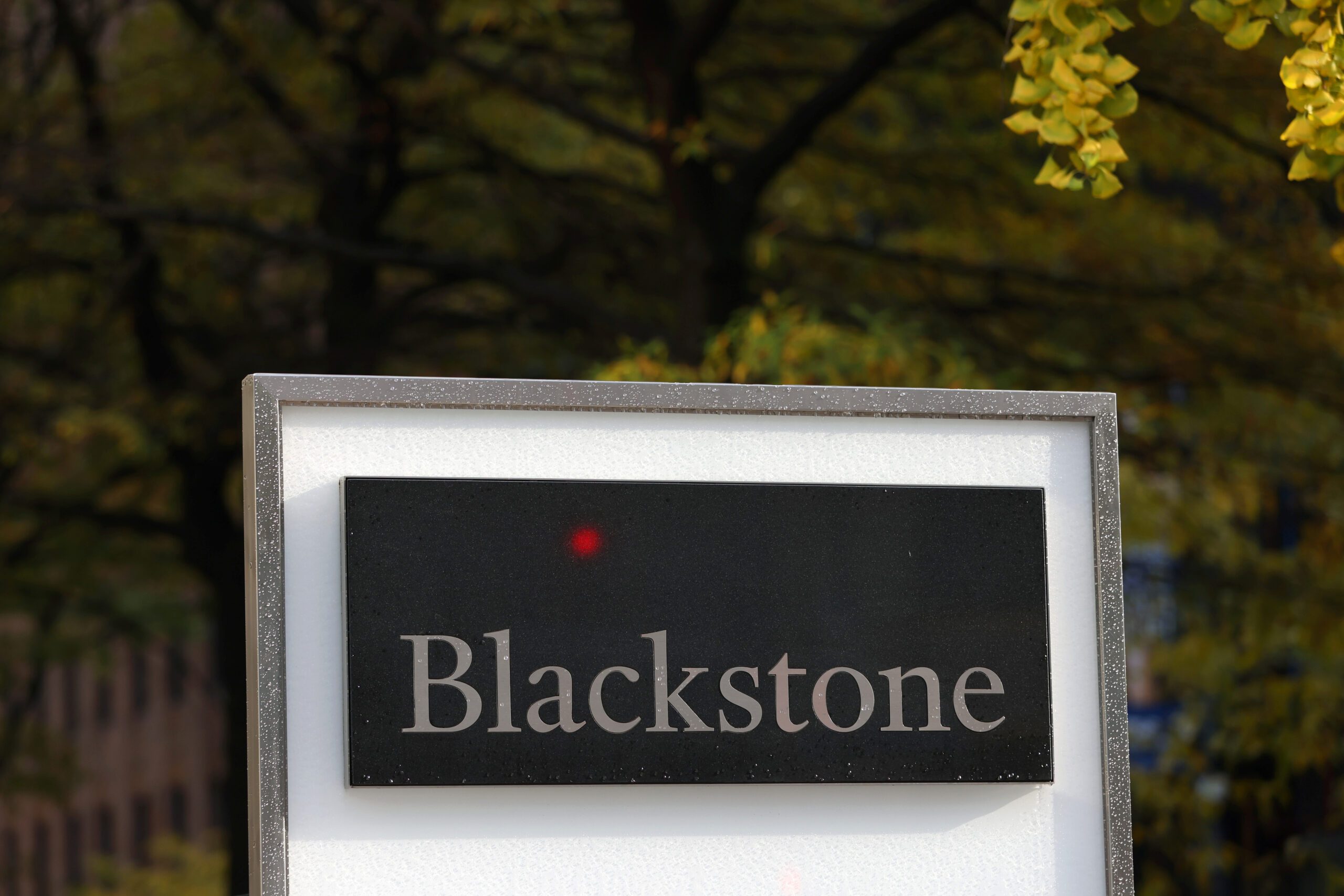 ANZ, Blackstone launch new wealth management fund in Australia