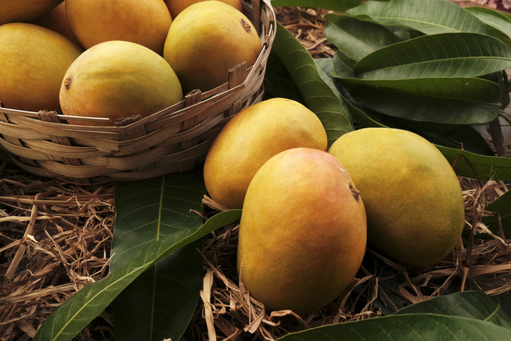 Rich pickings: Coca-Cola India promotes sustainable mango cultivation in alignment with government initiative