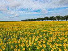 Wettervorhersage: Sonne satt und bis zu 32 Grad für Berlin und Brandenburg