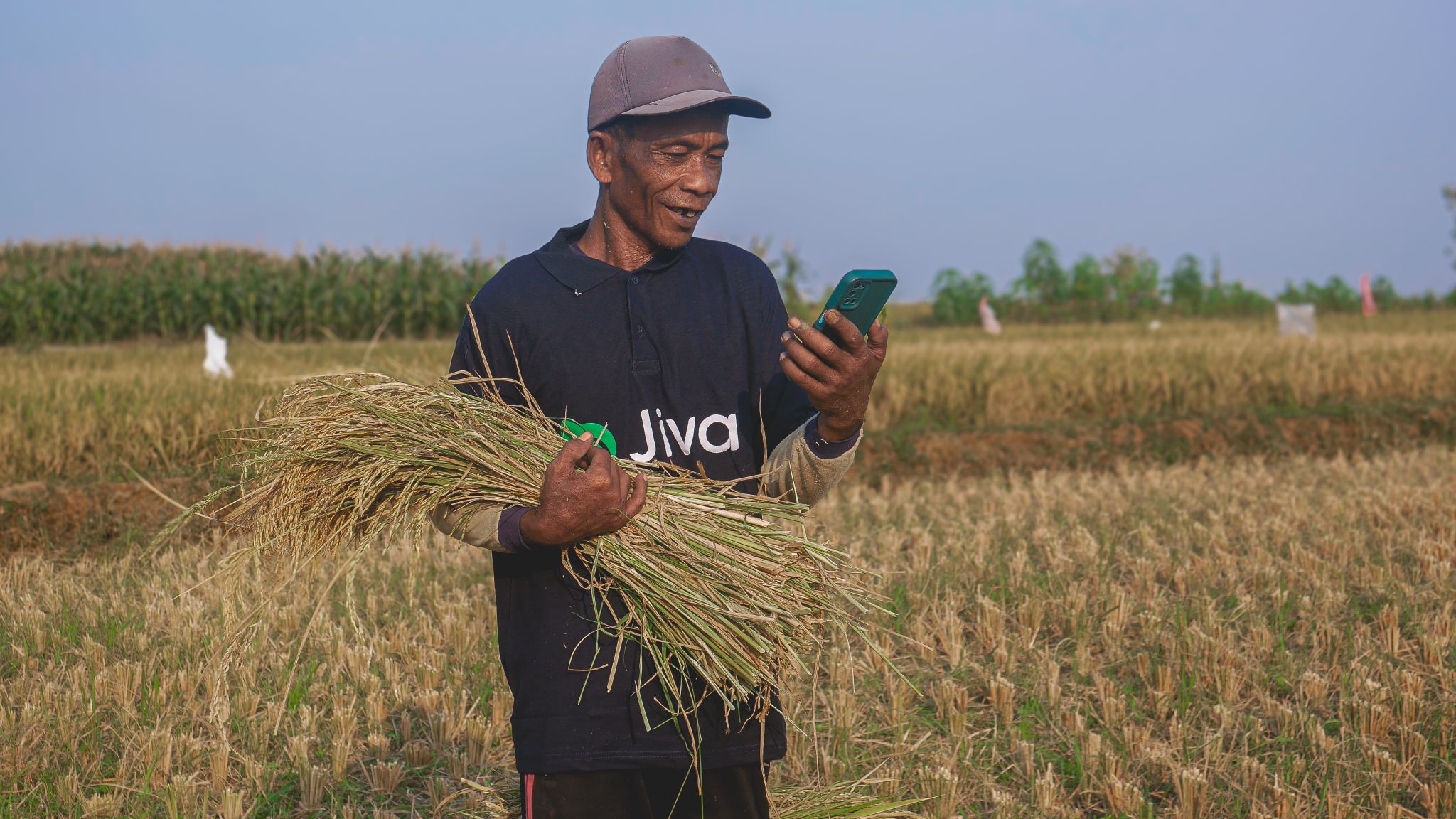 Jiva grows revenue 62% in 2023, plants seeds for profit