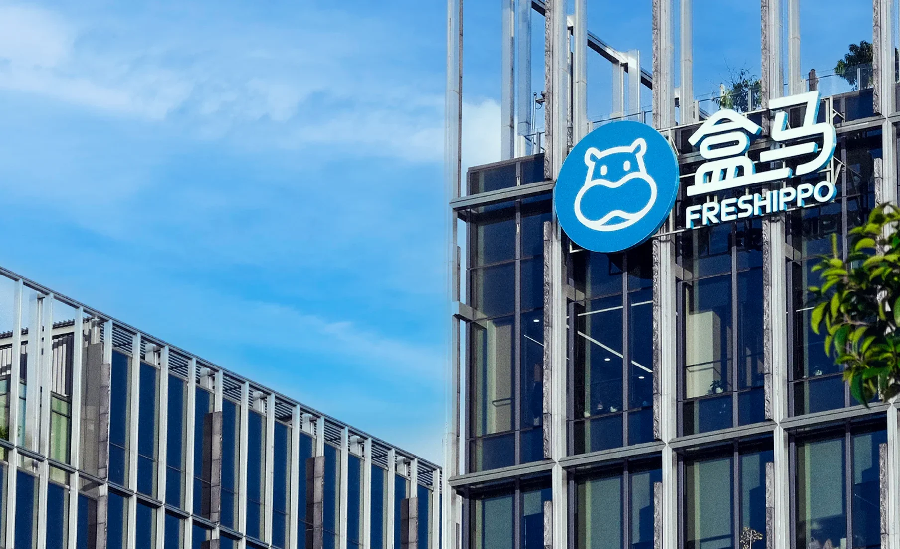 Freshippo achieves four months of profitability after major restructuring: report