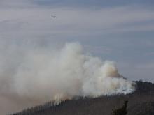 Waldbrand: Feuer am Brocken im Harz