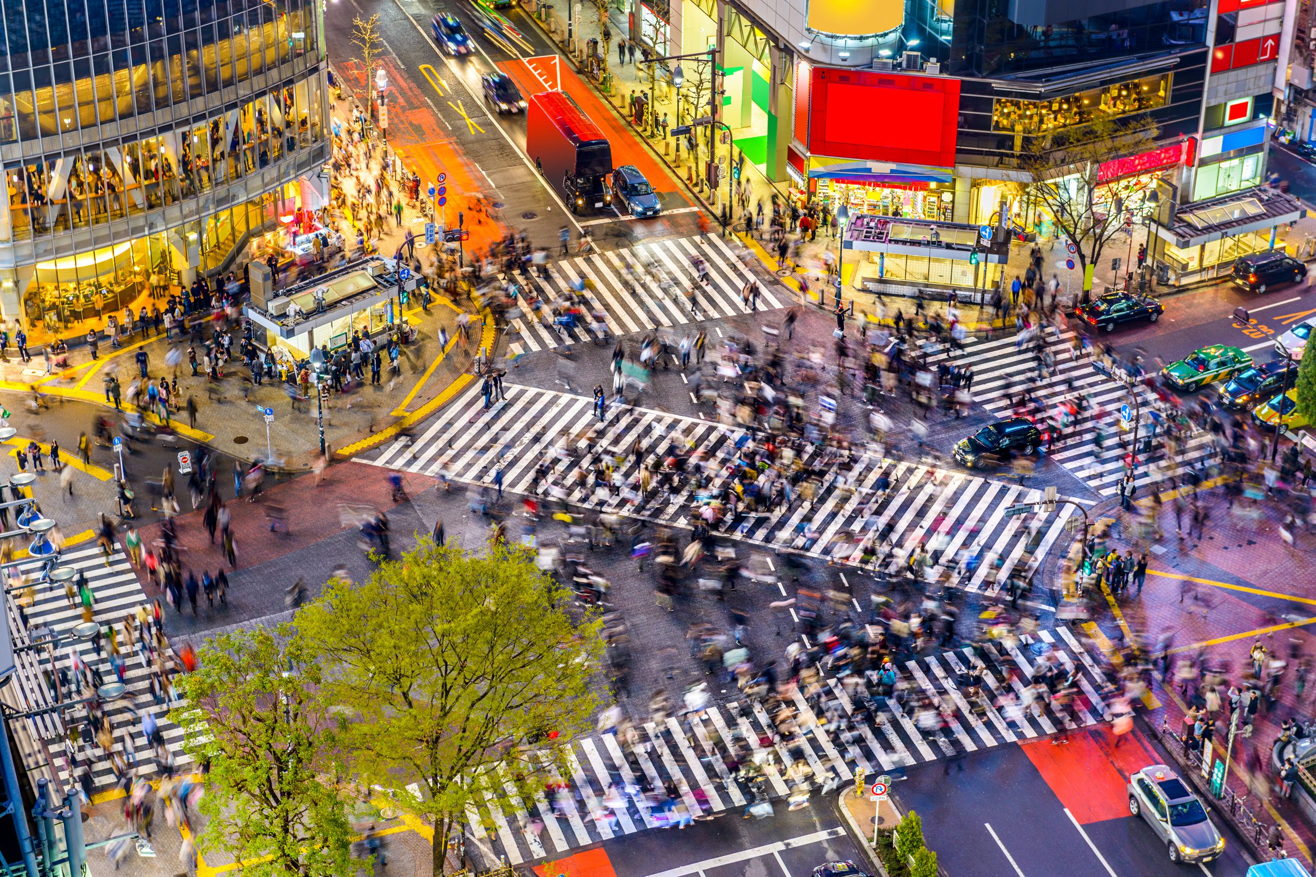 Japan probes AI sector for antitrust risks