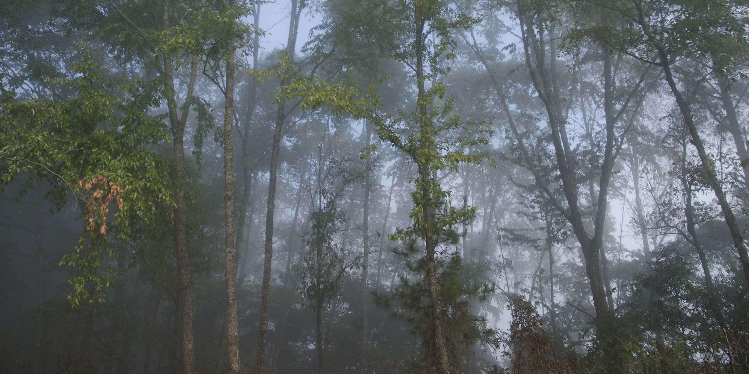 Adventure Meets Risk as Tourists Flock to Yunnan’s Wild Peaks