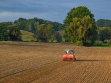 Koalitionsverhandlungen: Bauern: Ernährungssicherheit gehört in Verfassung