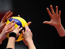 Volleyball-Pokal: Schweres Los für SC Potsdam, BR Volleys reisen nach Haching