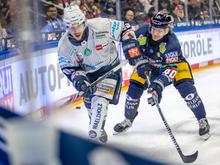 3:2 gegen Iserlohn Roosters: Eisbären siegen nach Fanprotest