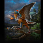 New Fossil in China Pushes Bird Origins Back 20 Million Years